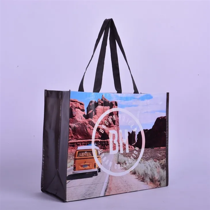 Branded Non Woven Khoom Noj Hnab