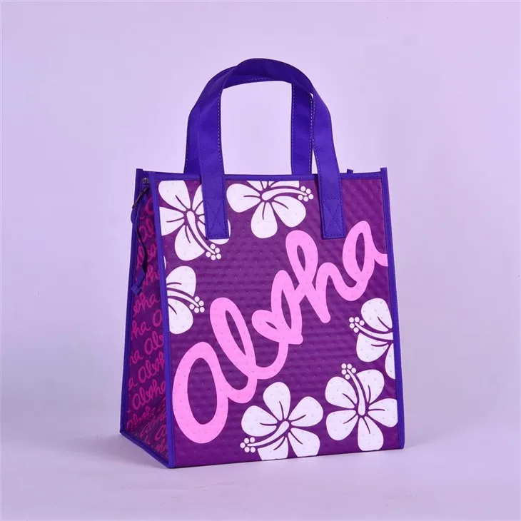 Insulated Tote Lunch Bag