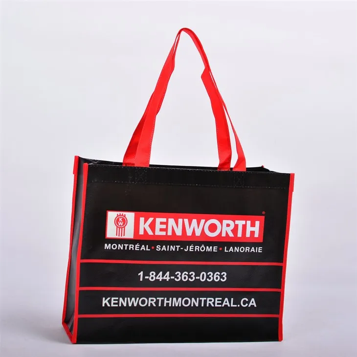 Laminated Non Woven Khoom noj khoom haus Hnab