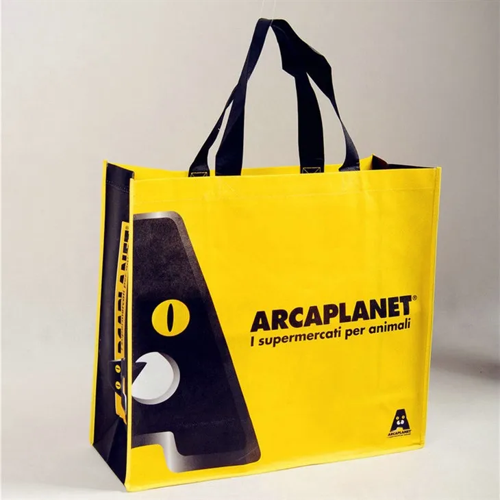 Non Woven Khoom noj khoom haus Hnab