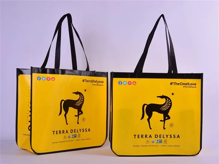 Non Woven Printed Box Bags