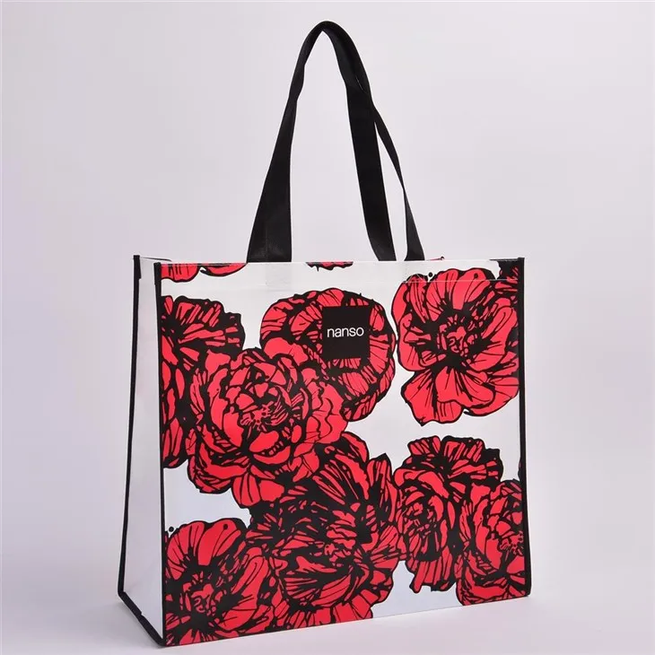 Non Woven Printed Carry Bags