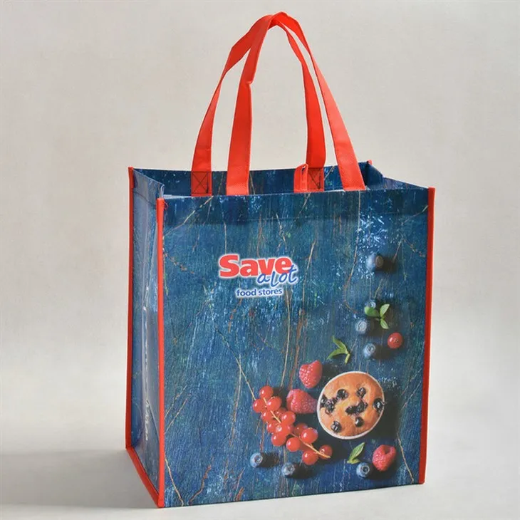 Non WovenReusable Khoom noj khoom haus Hnab