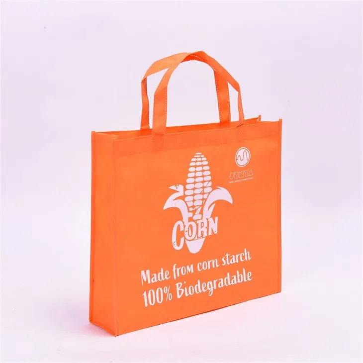 PLA Compostable Hnab