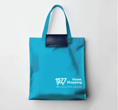 Polyester Reusable Khoom noj khoom haus Hnab